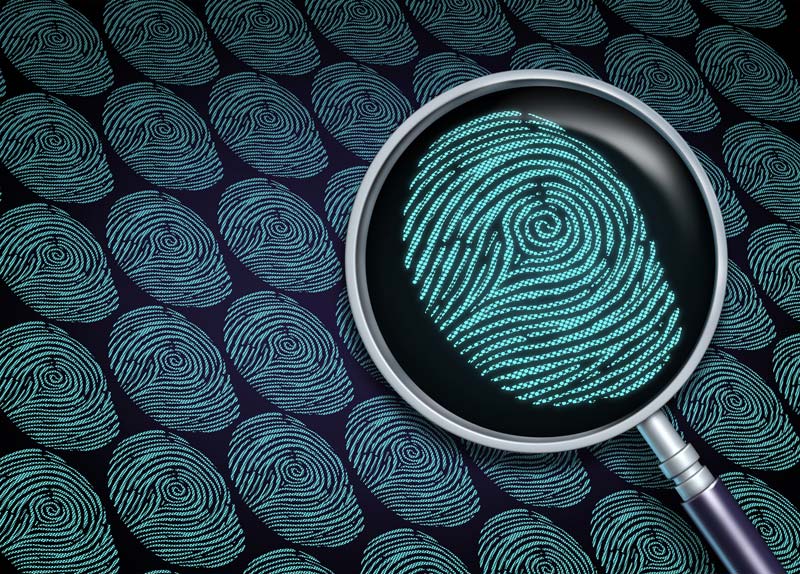 What to Do If Your Identity is Stolen