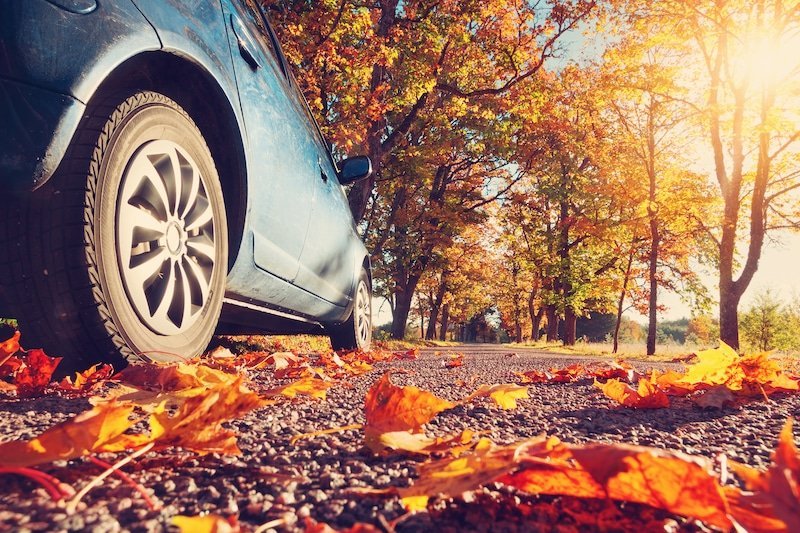 driving on fall roads