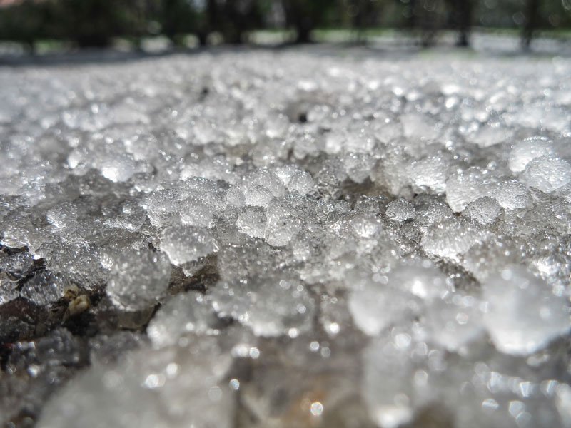prevent damaged hail