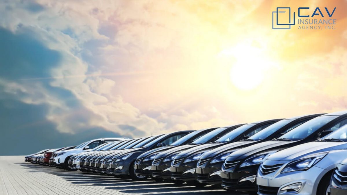 Car Market